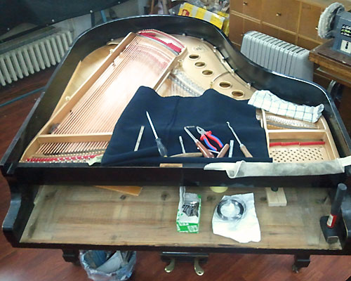 Klavirstimer Branko Kozarski